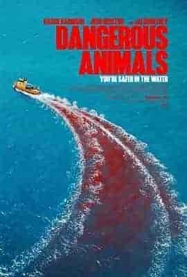 危险动物 Dangerous Animals